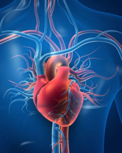 Cardiac care image